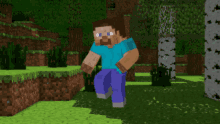 Minecraft Gifs Tenor