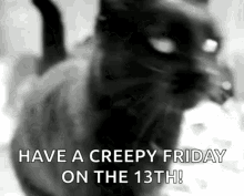 Happy Friday Cat Gifs Tenor