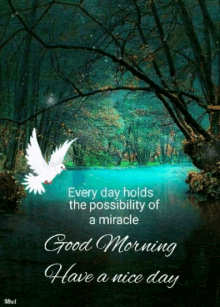 photo Good Morning Positive Quotes Gif tenor