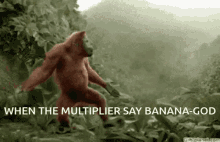 Monkey Saying Happy Birthday Gifs Tenor