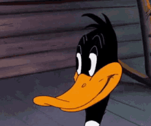 images Daffy Duck Meme Face tenor