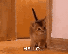 photo Wave Shy Hi Gif shy hi gifs tenor