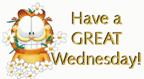 pix Happy Wednesday Gif Tenor tenor