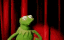 pix Kermit Crazy Gif kermit crazy gifs tenor