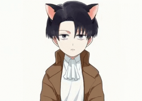 pic Levi Ackerman Cute Cat levi cat gif levi cat levi ackerman discover share gifs