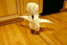 Cute birds are performing for you. Cockatoo Gifs Tenor