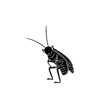 pic Joes Apartment Dancing Cockroach Gif cockroach gifs tenor