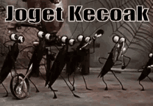 wallpapers Joes Apartment Dancing Cockroach Gif cockroach gifs tenor