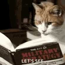 Cat Reading GIFs | Tenor