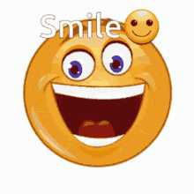 photo Rofl Gif Emoji tenor