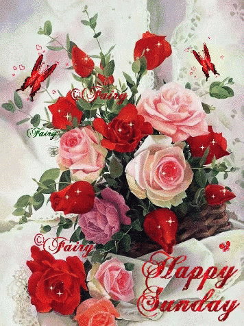 wallpapers Good Morning Happy Sunday Flowers Gif tenor