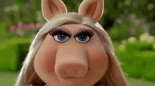 wallpapers Miss Piggy Hmph Gif miss piggy angry gifs tenor