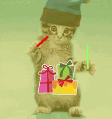 Funny Cat Dance Gifs Tenor