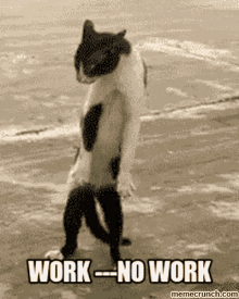 Arbeit Gifs Tenor