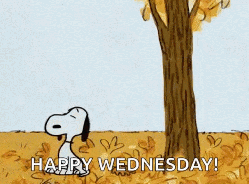 wallpapers Happy Wednesday Gif Tenor tenor