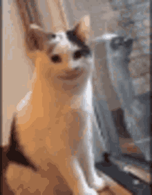 Star wars fans—break out your lightsabers and get ready to party. Mime Cat Gifs Tenor