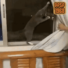 Close Window Gifs Tenor