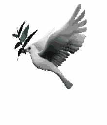 images Dove Animated Flying Bird Gif Transparent tenor