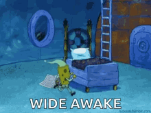 photo Wide Awake Cant Sleep Gif wide awake gifs tenor