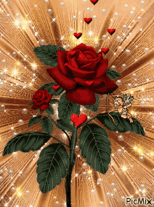 Buon compleanno una rosa per te… che sei speciale! Buon Appetito Gifs Tenor