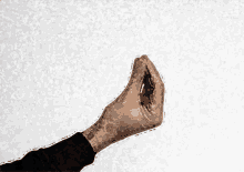 pic Gif Italian Hand Gesture Meme tenor