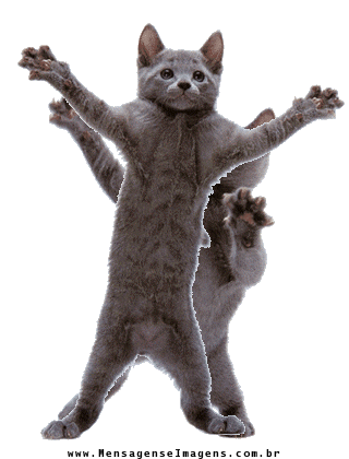 pics Dancing Cat Meme Gif Transparent tenor