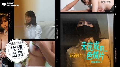 麻豆导演系列 未完成的色情片