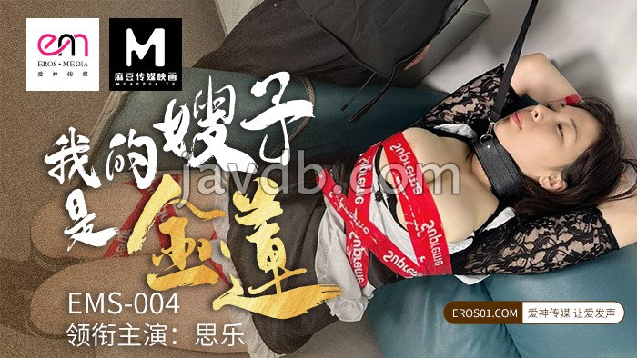 我的嫂子是金莲
