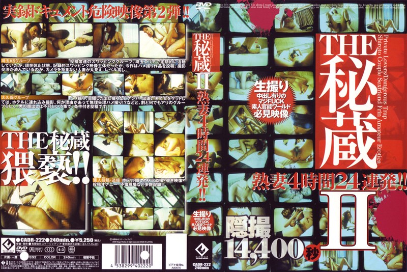 THE秘蔵2 熟妻4時間24連発！！