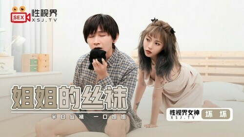 姐姐的丝袜