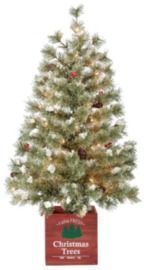 Holiday Living Illuminated Christmas Porch Tree 3 5 50 Lights Tv36mn036l00 Rona