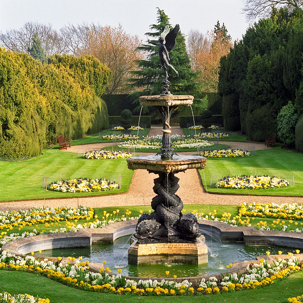 45+ Beautiful Types Of Bedding : Ornamental Plants - YouTube - And we understand that for some people it is essential to use incontinence products, including bed pads, waterproof bedding, briefs, and protectors, in their everyday lives.