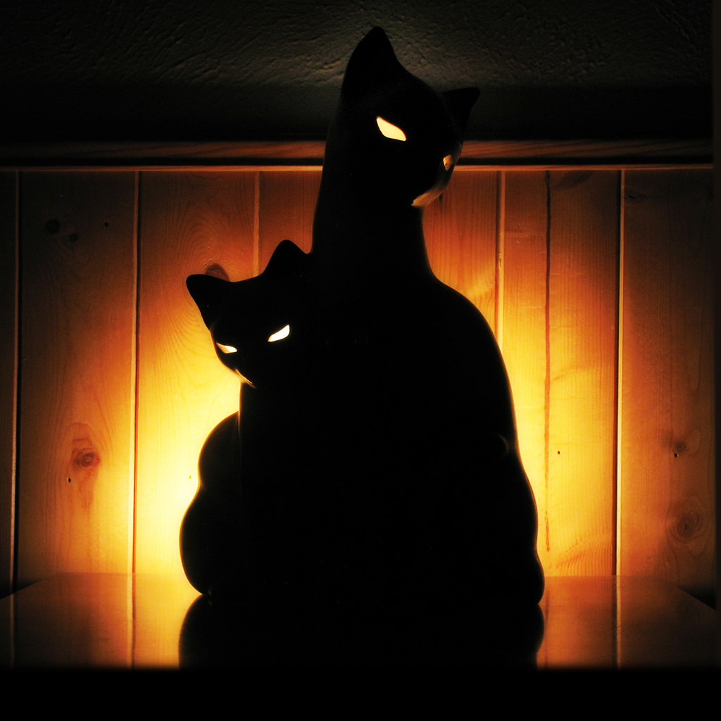 Cat lamp