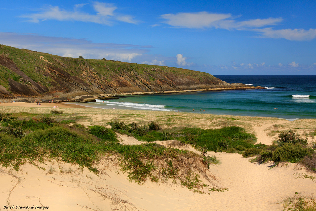 Treachery headland, treachery beach, myall lakes national …