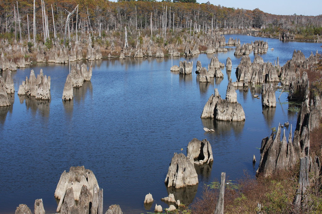 Wewahitchka Fl Dead Lakes Looking From West Arm Bridge To Flickr 2783759011 7b4725f778 B 