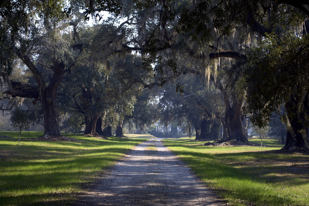 There are no cabins for rent on the francis marion and sumter national forests. Limerick Plantation - Francis Marion National Forest - Sou