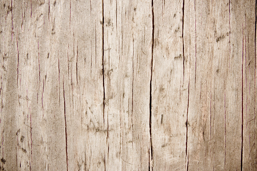 Foshan procare furniture co., ltd. Dead wood | This texture is free to use in your personal