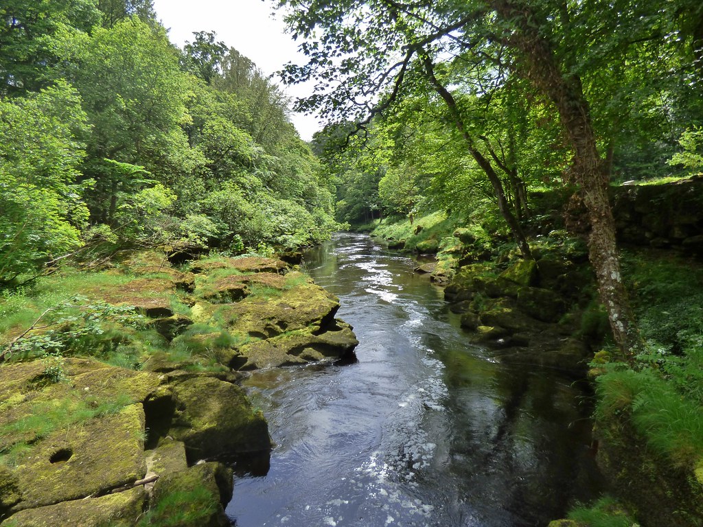 These symptoms are caused by hundreds of larvae (microfilariae) of the parasitic round worm. The Strid at Bolton Abbey near Skipton, North Yorkshire, E