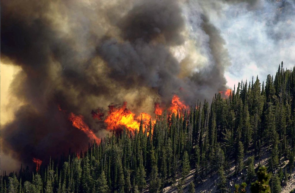 Wildfire_Flames1 | Forest Service Northern Region | Flickr