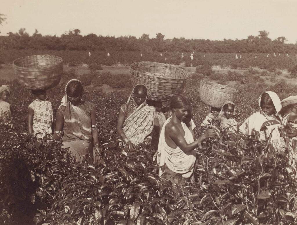 History of Cutting Chai in India