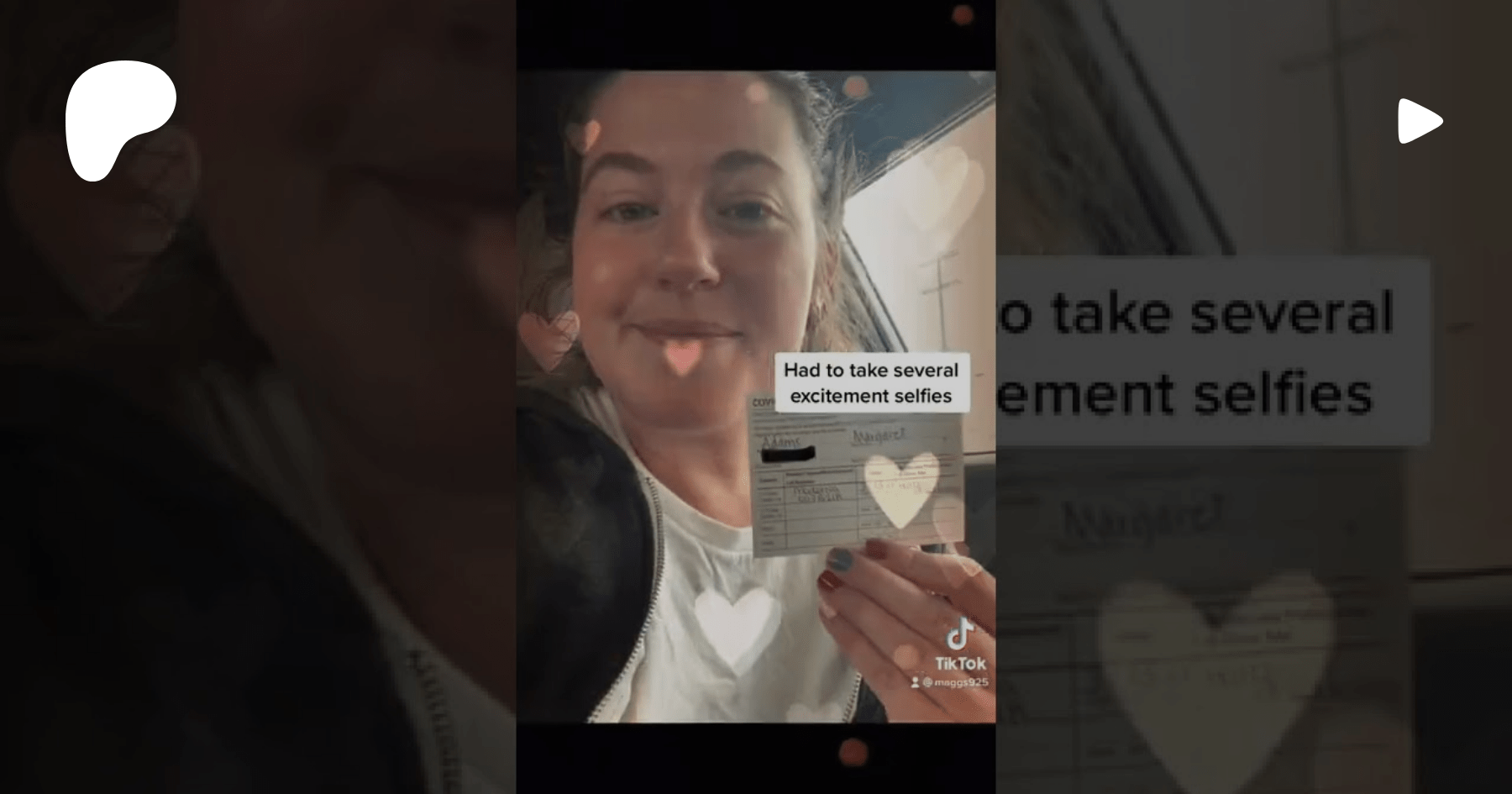 Maggie · sammie · chase · tim · toby · scott · johnny · darwin. Weekly Moment With Maggie 014 Foxes And Fossils On Patreon