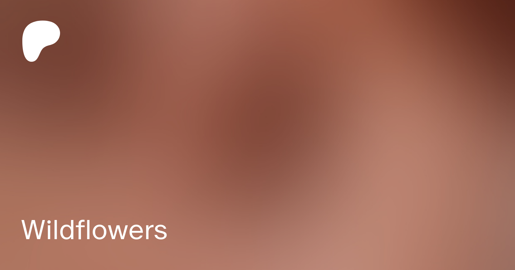 Wildflowers | Patreon