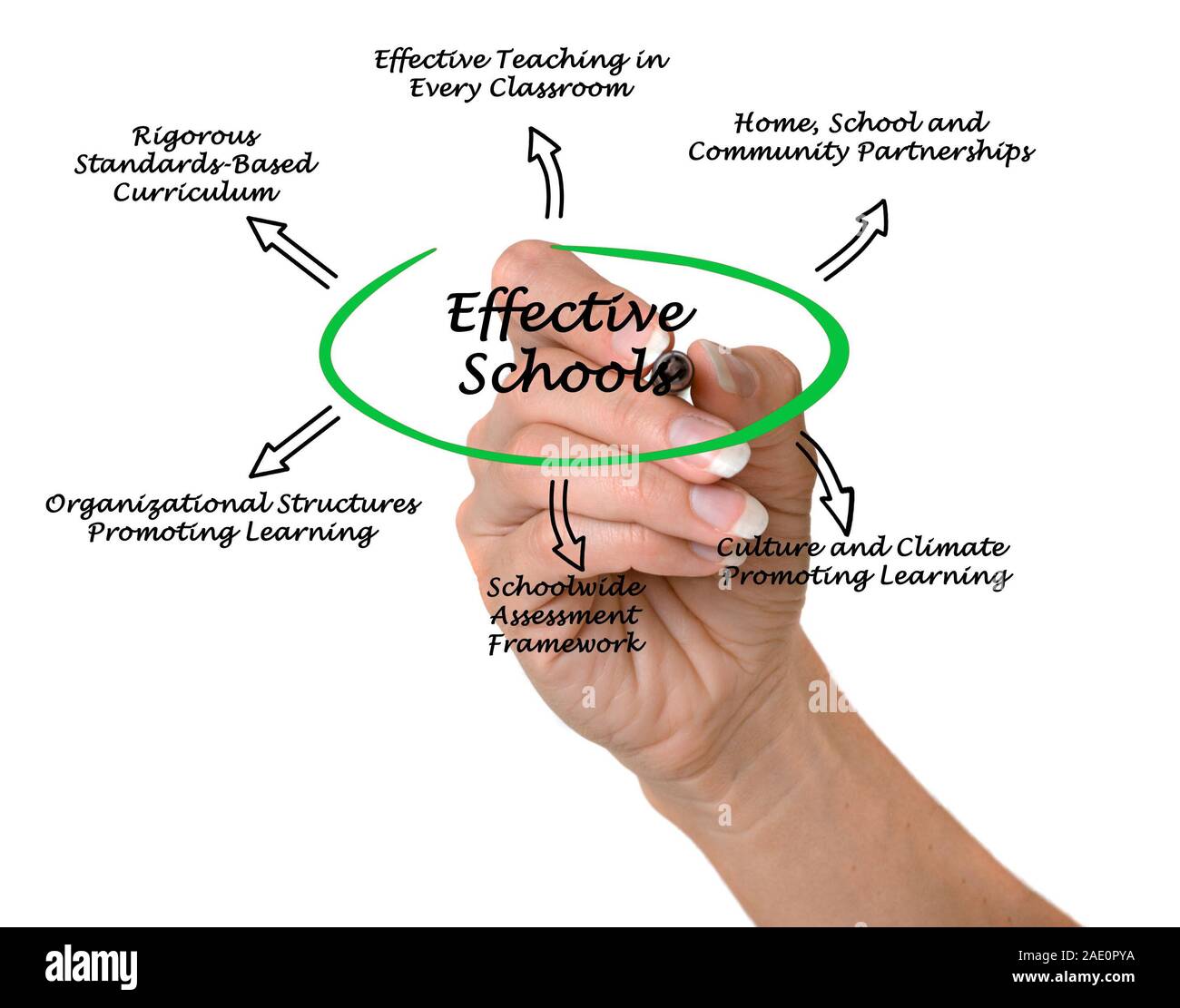 Organizational framework hi-res stock photography and images