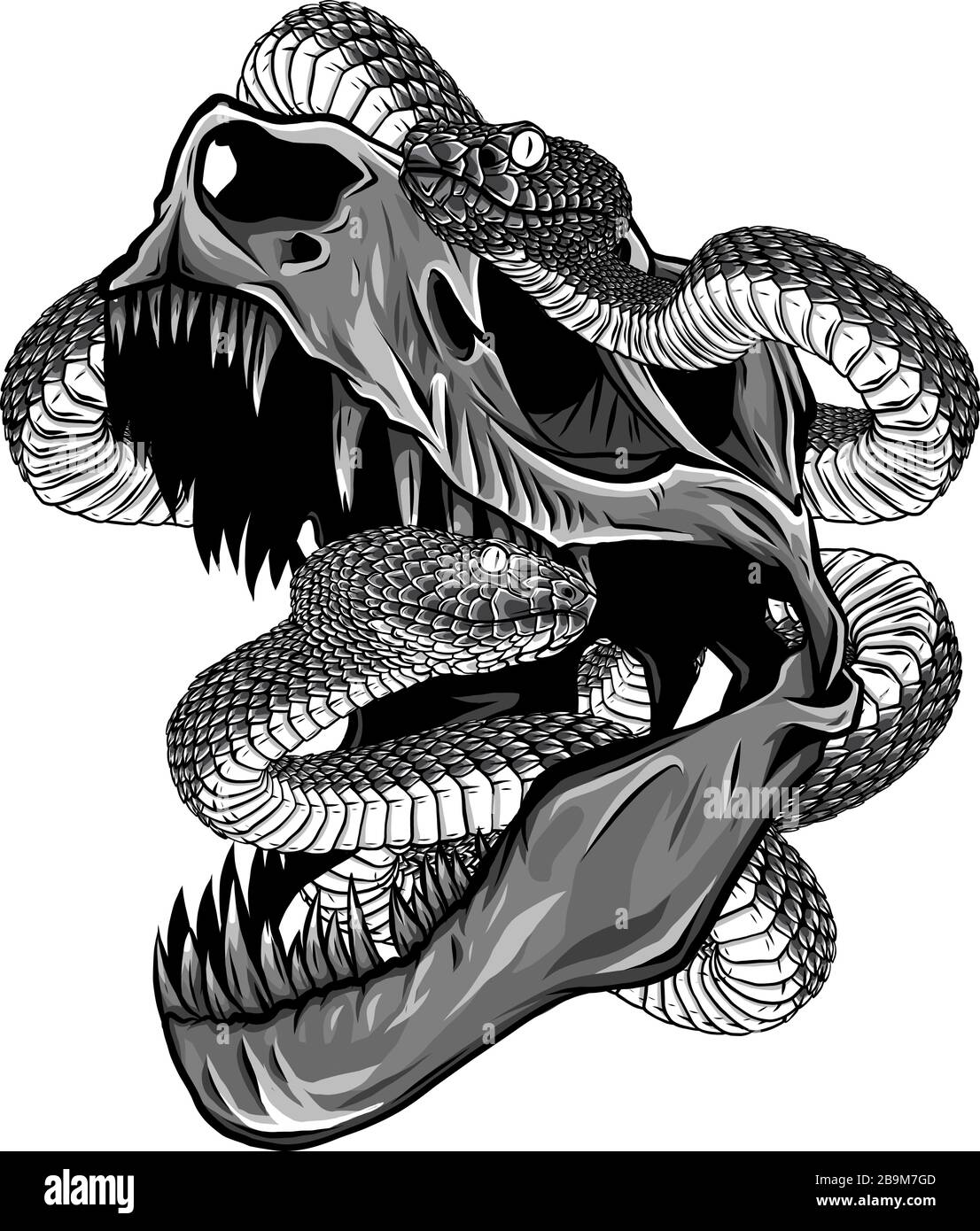 pix Roaring T Rex Head Drawing https www alamy com monochromatic dinosaur skull drawing of t rex skull with snake image350184253 html
