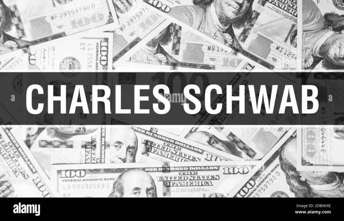 Charles Schwab revenue from 1990 to 2005 | Download Scientific Diagram What year was charles schwabs net worth founded