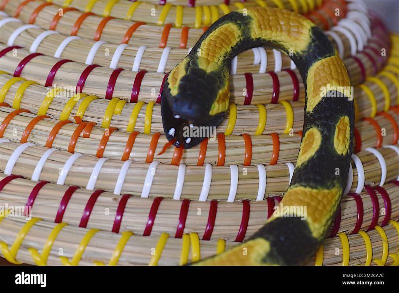 Snake Python Serpent Python 16 11 2017 Stock Photo Alamy - Light Pattern Collection - Mobile Quality