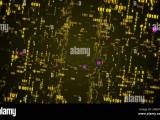 Digital Fly Binary Code Background Loop Data Binary Code Network Stock