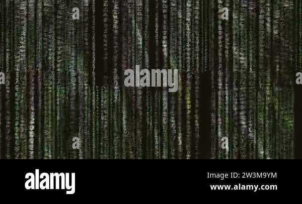 3d Hacking Code Background In 4k Randomly Moving Binary 0 And 1 - Best City Backgrounds in Full HD