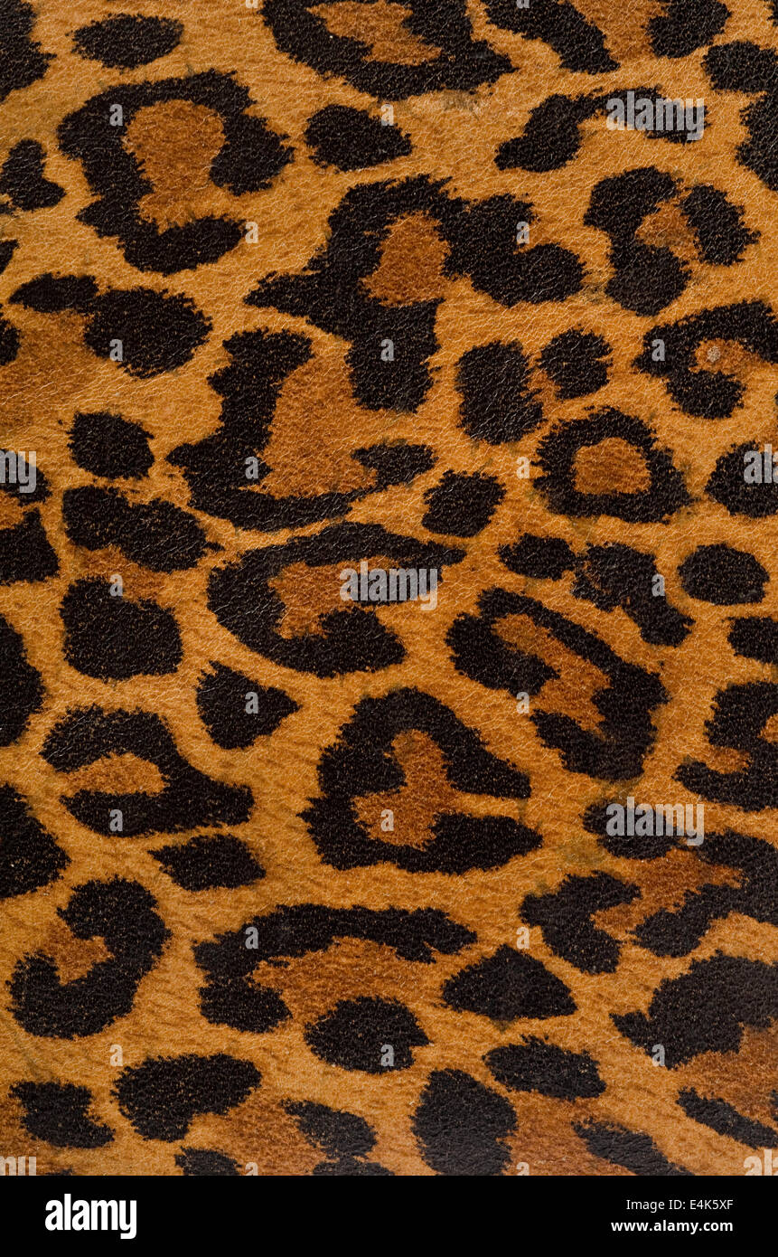 If you're looking for a professional finish to a handmade tee or fabric, screen printing is the way to go. Leopard Print Pattern Stock Photo Alamy