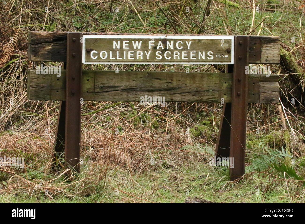Redeem a registration id · apply for remote access. Cycle Path Signs In The Forest Of Dean New Fancy Colliery Screens Stock Photo Alamy